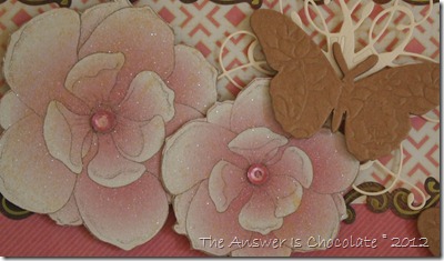 Pink Poppies Closeup