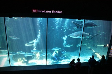 IMG_8148 IMG_8148