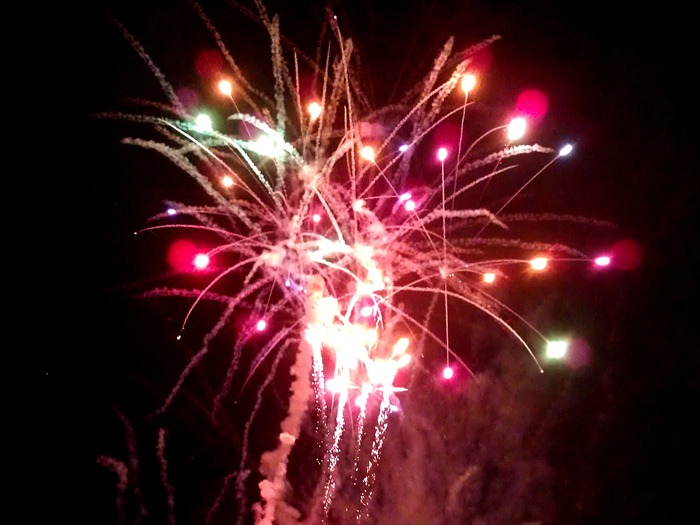 16. royal show