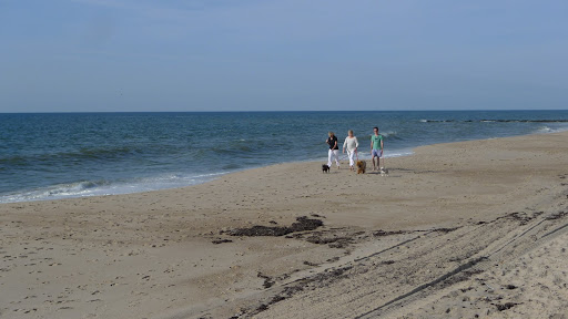 Whew!  I'm glad we got away from that one unscathed!  Walking on the beautiful beach with Martha, Susan, and Kevin is a much better way to go!