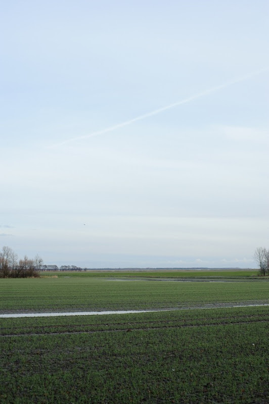 DSC_7228