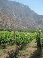 Winery outside of Cafayate, Argentina