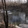 dsc06314.jpg
