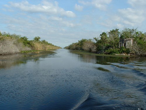 [everglades3%255B5%255D.jpg]