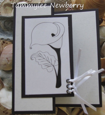 [07182011_Tammylee%255B6%255D.jpg]