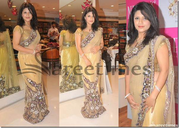 Supriya_Cream_Net_Saree Supriya_Cream_Net_Saree