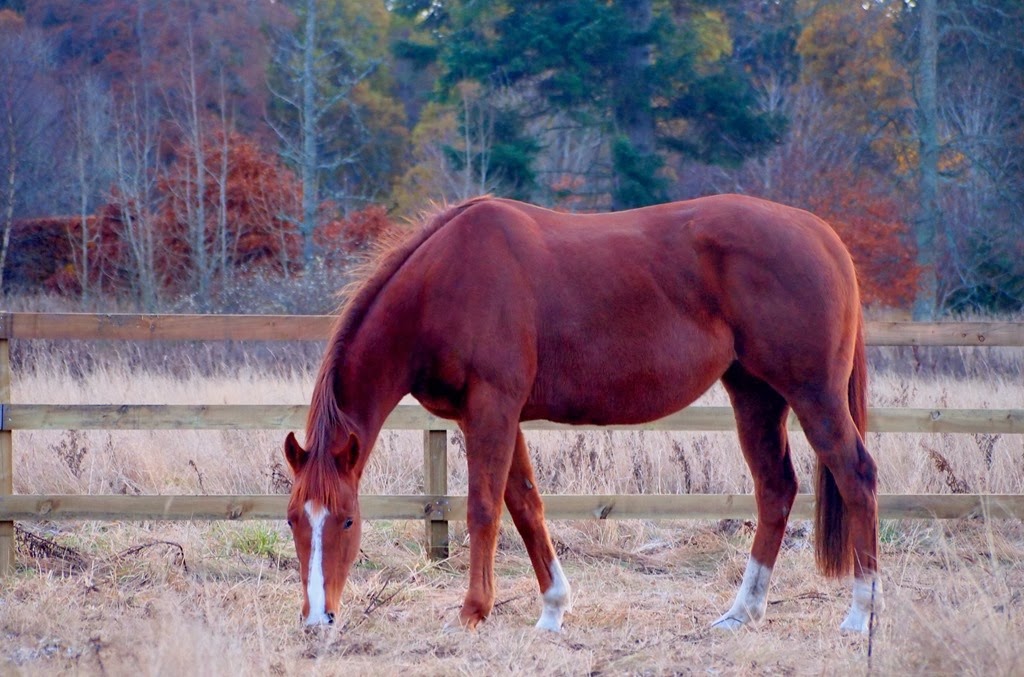 [28%2520Nov%25201-002%255B3%255D.jpg]