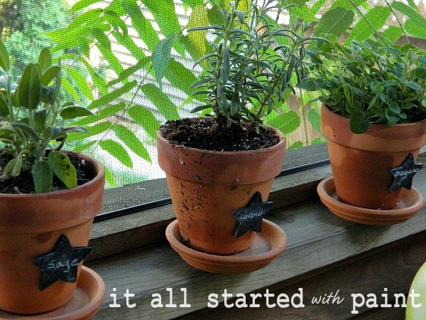 [screen_porch_herb_planter_pots%255B3%255D.jpg]