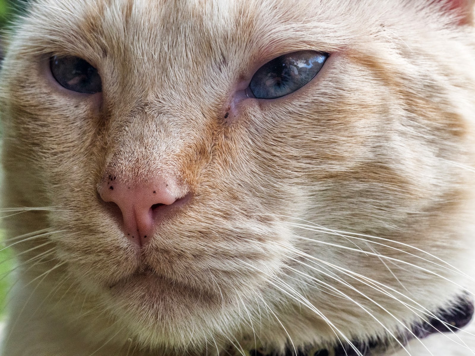 [20140904-0047%255B3%255D.jpg]