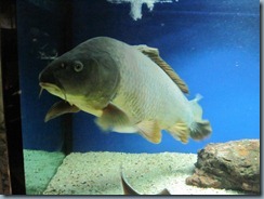 IMG_2638 IMG_2638
