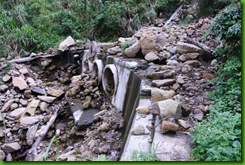 IMG_0015 IMG_0015