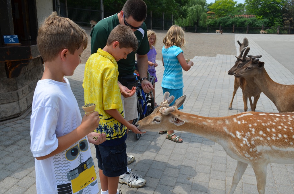 [DSC_1776%255B3%255D.jpg]