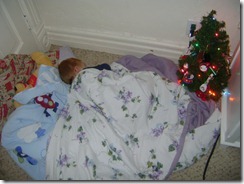 DSC01101 Decided to sleep by Christmas tree