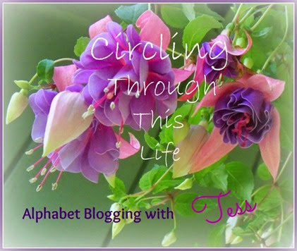 Circling Through This LIfe Alphabet Blogging