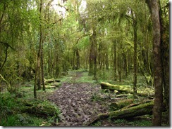 IMG_4907 IMG_4907