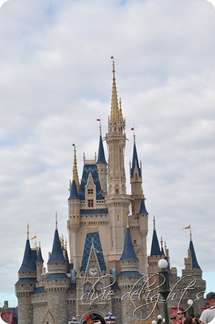 Disney December 2012 391 Disney December 2012 391