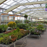 IMG_5695.jpg