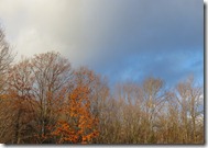 Winter light Winter light
