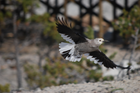 [image86%255B2%255D.png]