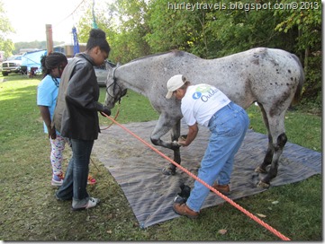 A couple of fascinated young ladies watch as Sally shows them how to clean the horse's hoof. Sally demonstrates cleaning her horse's hoof.