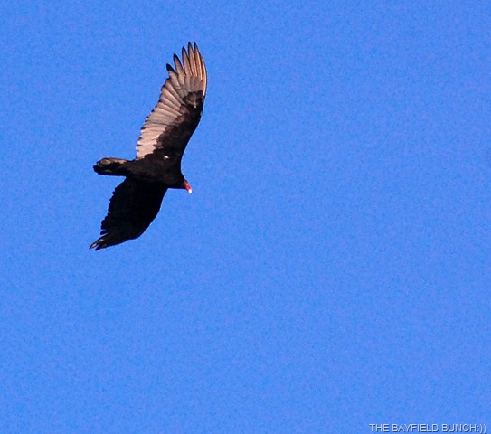 DSC_6402 DSC_6402