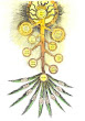 Robert Fludd View Of The Tree Of The Sephiroth