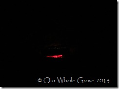 night embers night embers
