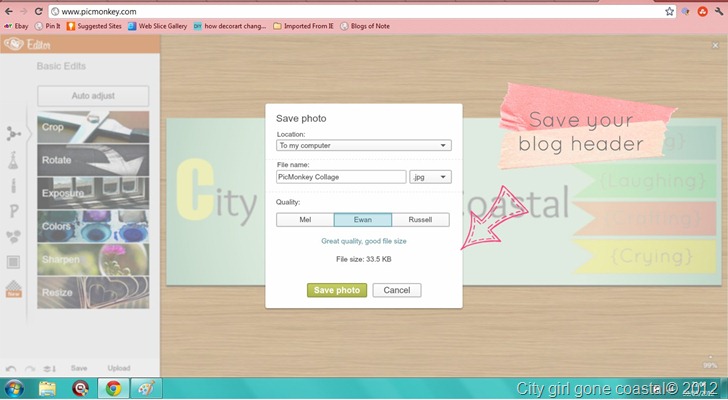 save blog header