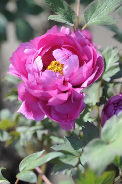 [claus20120416_092650%255B4%255D.jpg]