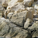 IMG_1200.JPG