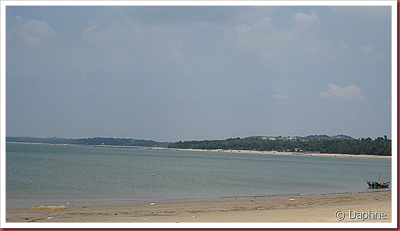 IMG_3663 IMG_3663