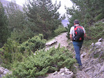Camiño do Bisaurín