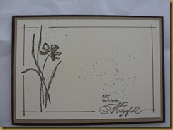 P1020803 P1020803