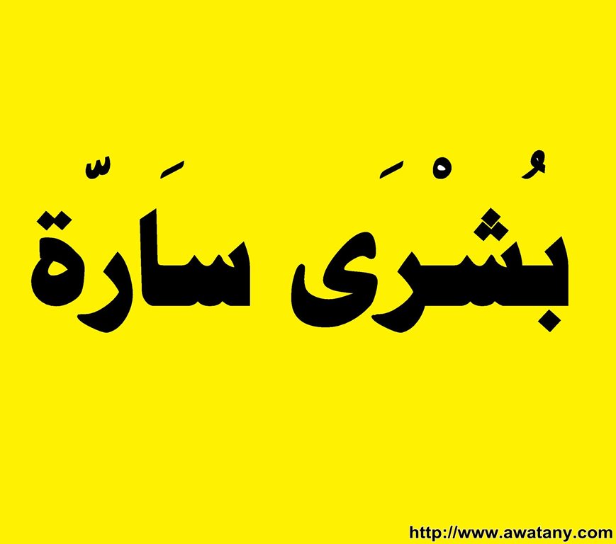 بدء تسجيل تحويل الطلاب بين الكليات 2013 لطلاب الدبلومات الفنية - اخبار وطني بدء تسجيل تحويل الطلاب بين الكليات 2013 لطلاب الدبلومات الفنية - اخبار وطني
