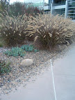 DSCF0037.jpg
