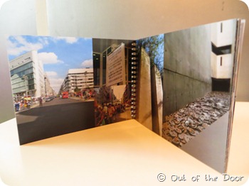 IMG_4020 IMG_4020