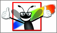 java splash screen java splash screen