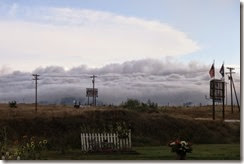 IMG_1097 IMG_1097