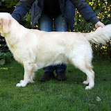 Tuva