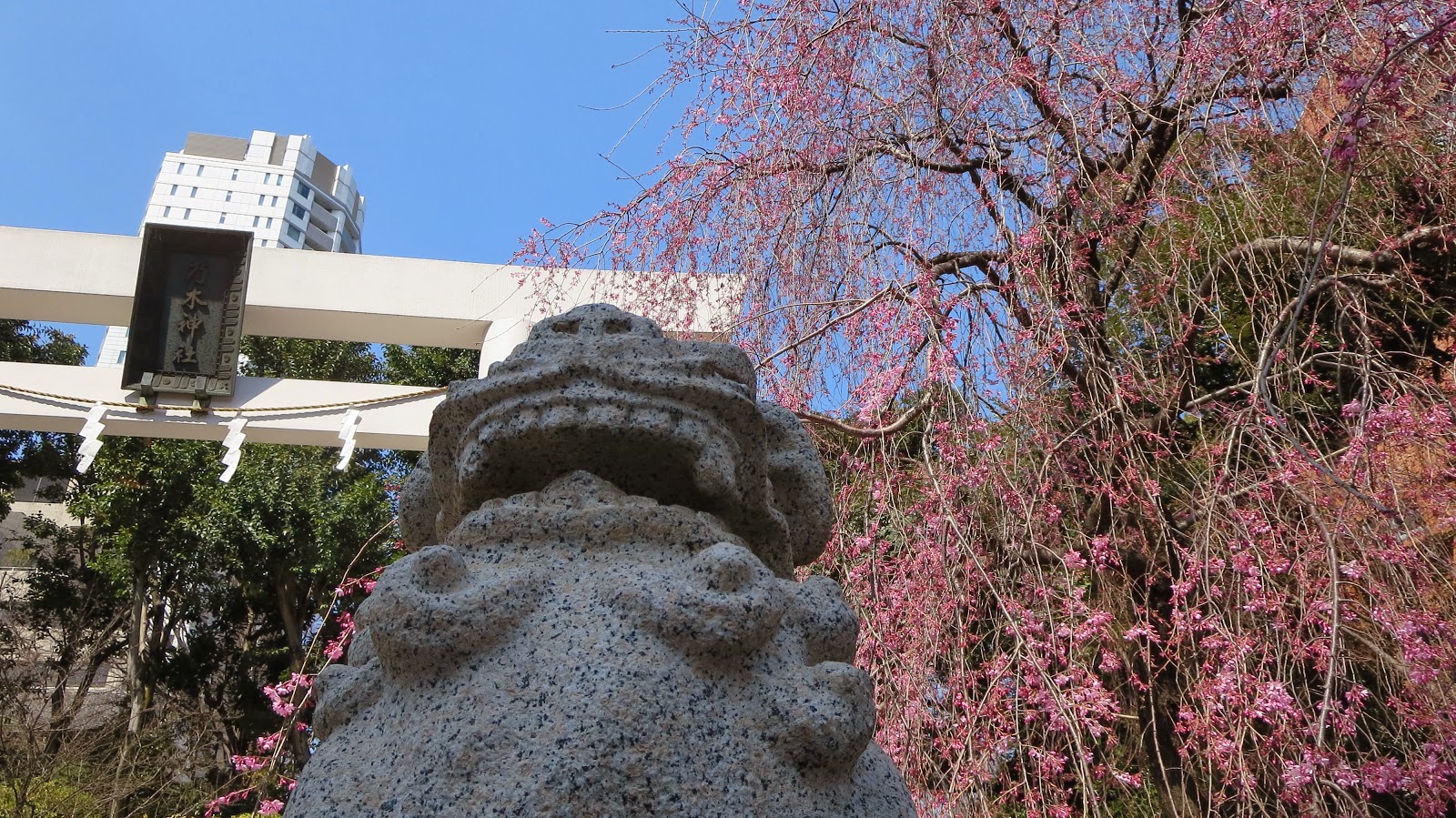 [IMG_0580%255B3%255D.jpg]