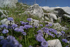 DSC03252.JPG