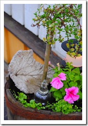 27-31 Maj 2012 043