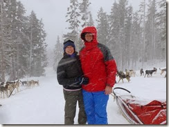 Dog sled 2014, snow 014 - Copy