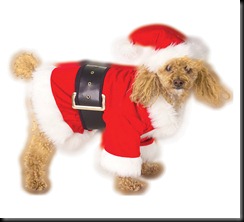 disfraz de papa noel para perros