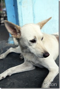 IMG_0314 IMG_0314