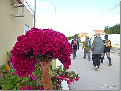 P1190059 P1190059