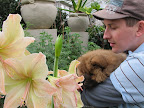 G.K. - These amazing flowers are called amaryllis Exotica and Martha really adores all kinds of amaryllis.  This would be a good choice if you're wondering what to give to her for Valentine's Day.