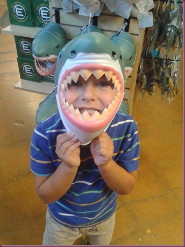 2012-07-24 11.30.41 2012-07-24 11.30.41