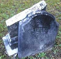 Fakta Kematian Bathsheba Fakta Kematian Bathsheba