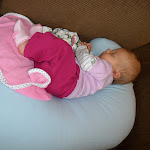 SAM_0469.JPG